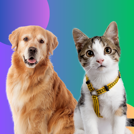 Pet & Acessórios