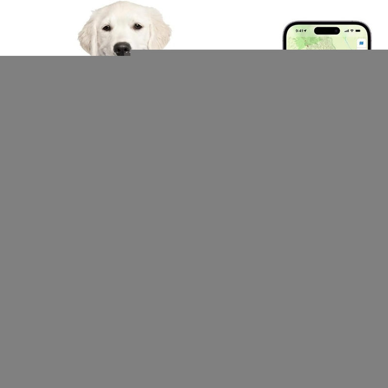 Chaveiro Rastreador Localizador GPS