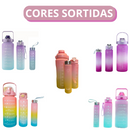 Conjunto de 3 Garrafas Squeeze de Água Frases Motivacionais - Galão 2000ml, 900ml e 300ml - (Cores Sortidas)